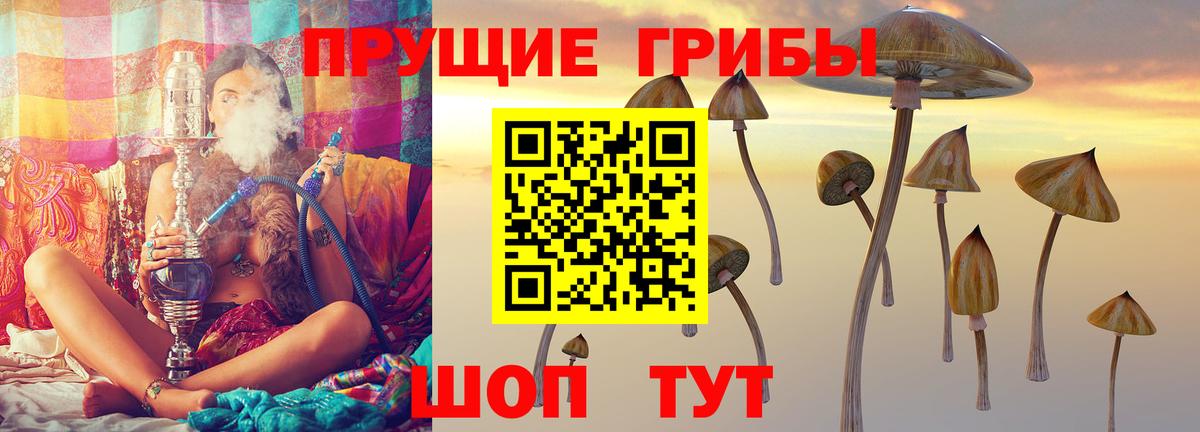 Елец  Псилоцибиновые грибы Psilocybe  Псилоцибиновые грибы Psilocybe  Вход с VPN 